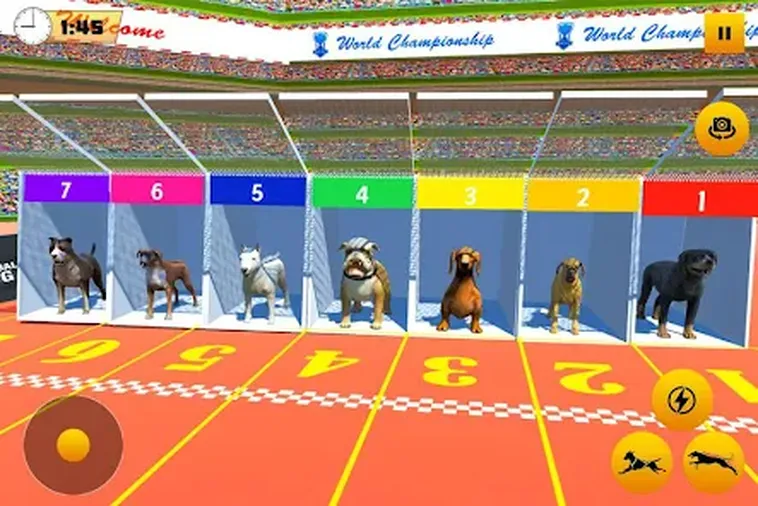 Hướng Dẫn Cách Chơi Game Nhanh Đua Chó Tại JBO Dễ Thắng Nhất